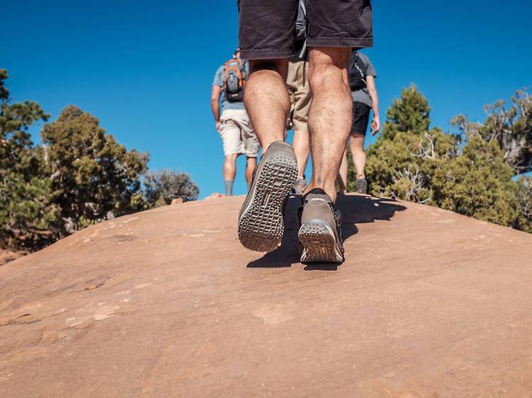 Flagstaff Urban Trail System