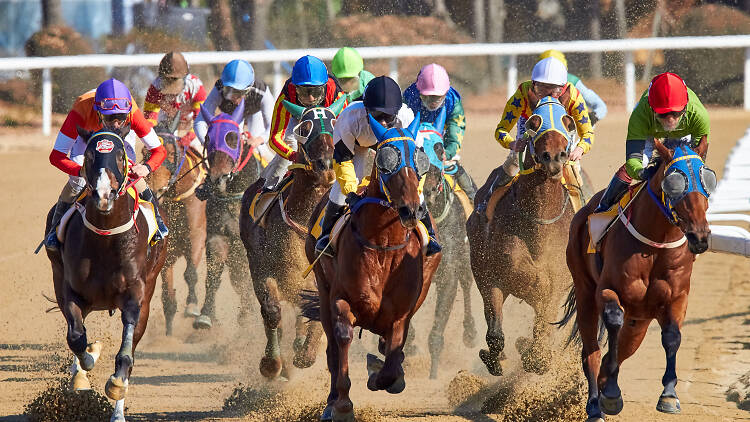 Hialeah Park Racing and Casino