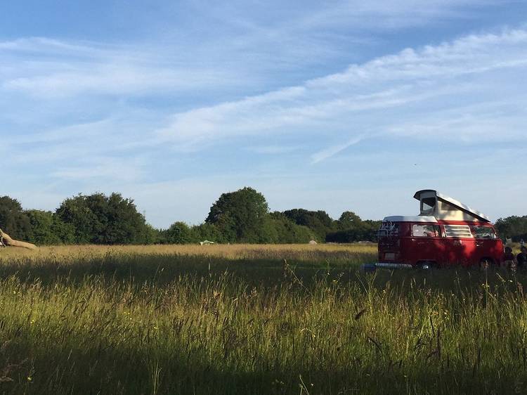 The Sunnyfield, Kent