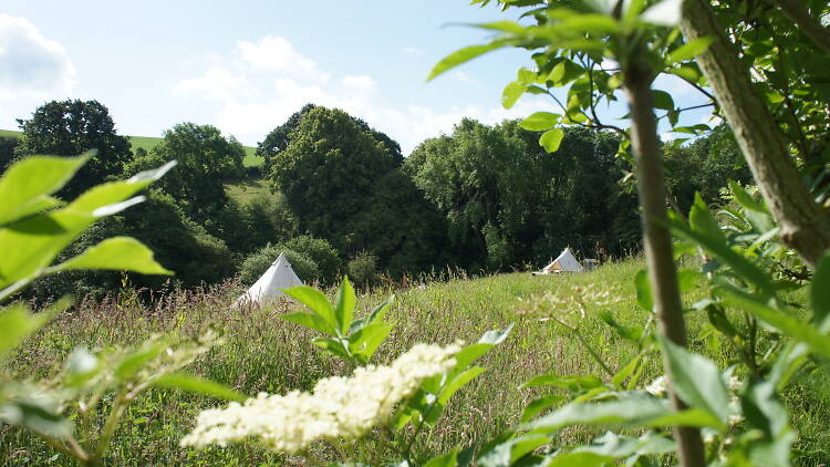 Hidden Valley Camping, Worcestershire