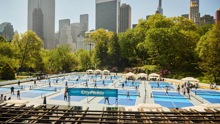 Pickleball at Wollman Rink in Central Park