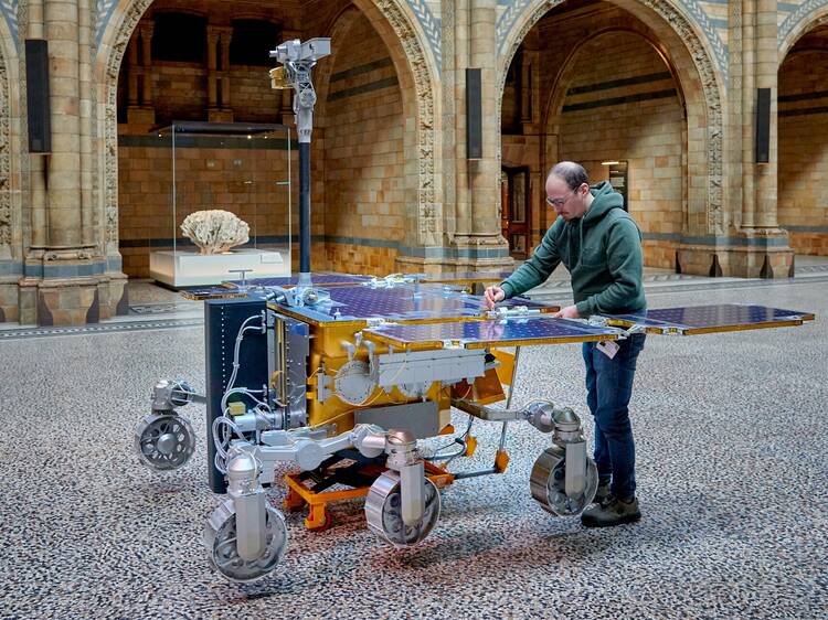 Discover the wonders of space in the Natural History Museum’s new exhibition ‘Could Life Exist Beyond Earth?’